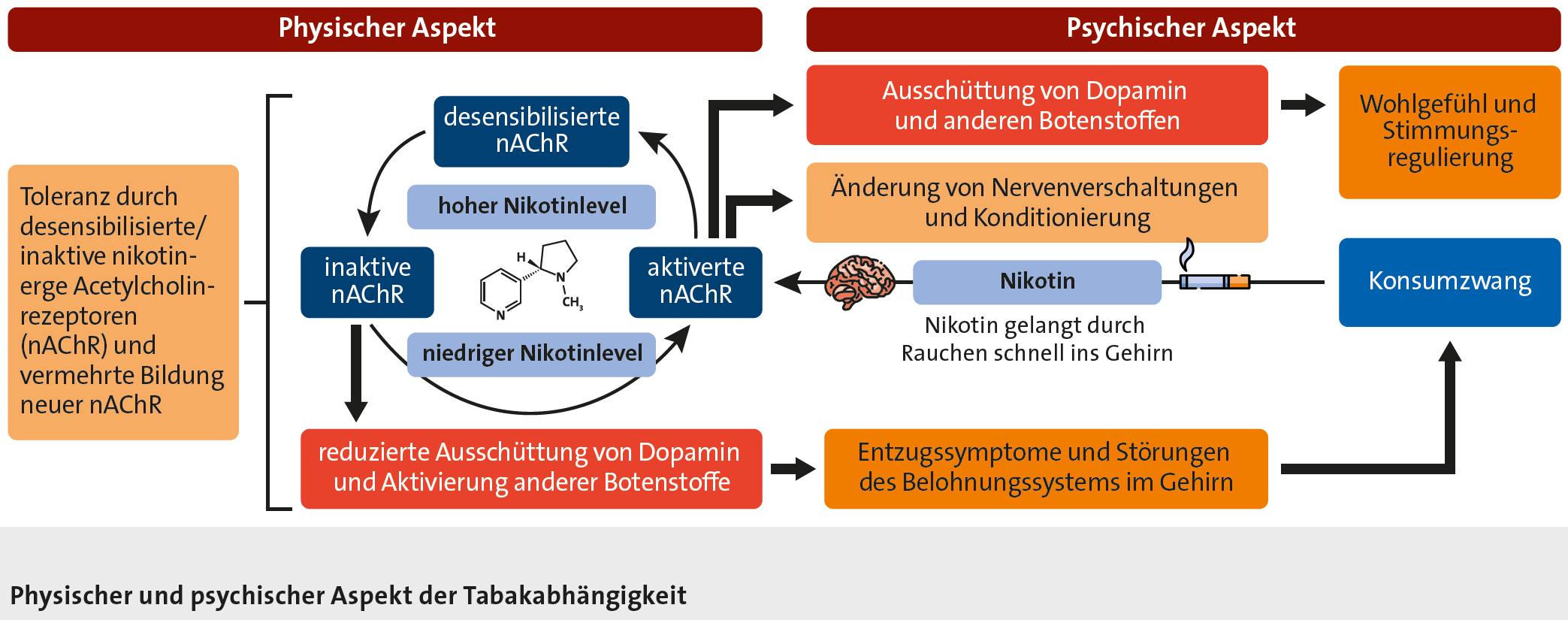 Abbildung: Physischer und psychischer Aspekt der Tabakentwöhnung