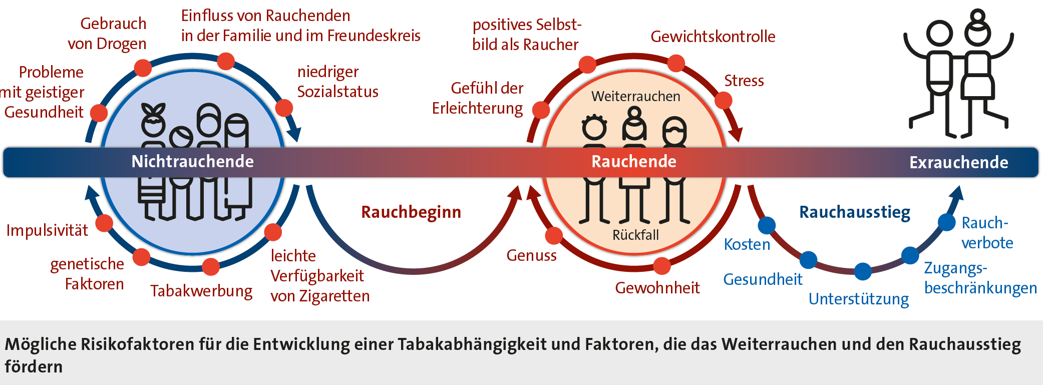 Abbildung: Mögliche Risikofaktoren für die Entwicklung einer Tabakabhängigkeit und Faktoren, die das Weiterrauchen und den Rauchausstieg fördern